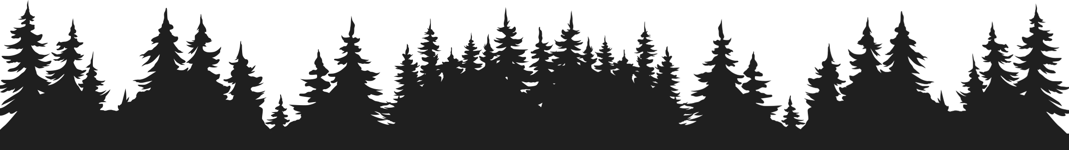 Obrazek czarne drzewa w lesie